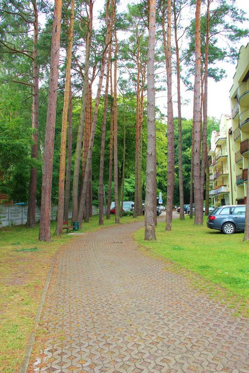 Smm Apartament Gryf Morskie Oko Miedzyzdroje Rum bild
